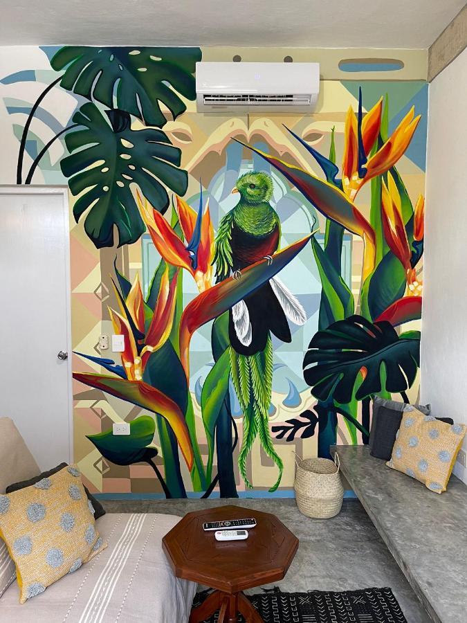 Katalox Jungle Lofts By Simply Comfort Tulum Centre Rooftop Patio & Pool Appartamento Esterno foto