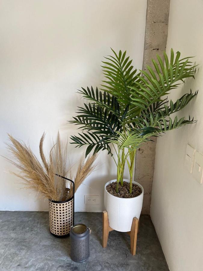 Katalox Jungle Lofts By Simply Comfort Tulum Centre Rooftop Patio & Pool Appartamento Esterno foto